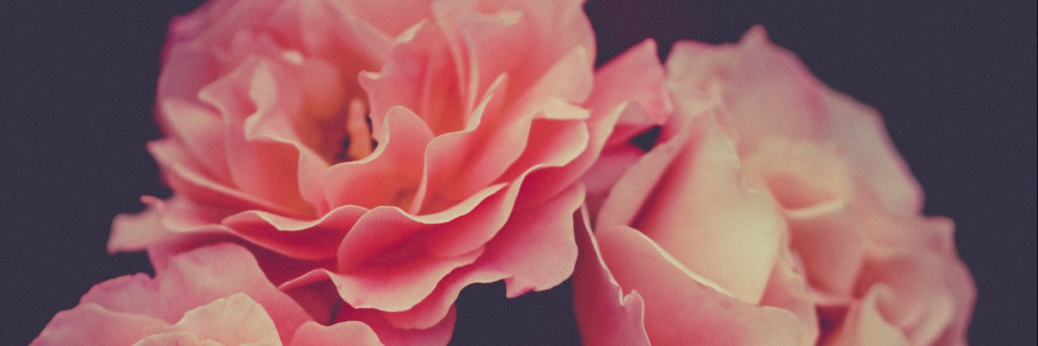 alex-blajan-98972-unsplash